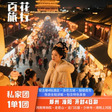 河南博物院+洛阳老君山+龙门石窟+少林寺+清明上河园4天3晚私家团