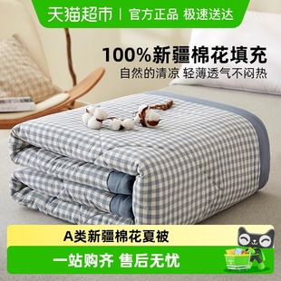A类新疆纯棉花夏凉被空调被2025新款 可机洗单双人宿舍薄被子 夏季