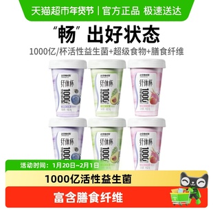 达芬奇酸奶优形纤体杯无蔗糖0代糖低温酸奶1000亿活性益生菌