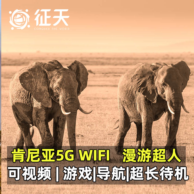 携带方便 数据安全 网快强稳 多人共享