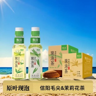 甄现现泡茶500ml整箱冷泡信阳毛尖茉莉0糖0添加原叶绿茶夏季 饮料