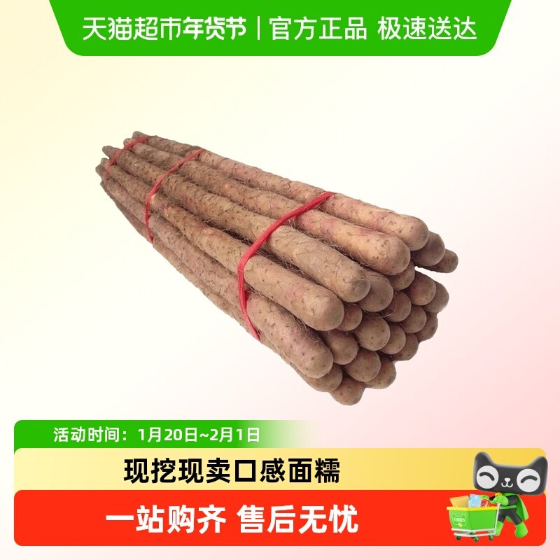 铁棍山药正宗垆土淮山现挖铁杆怀山当季蔬菜新鲜小白嘴山药面糯香,水产肉类/新鲜蔬果/熟食,新鲜山药,淘宝优惠券,粉丝福利购,淘宝优惠卷