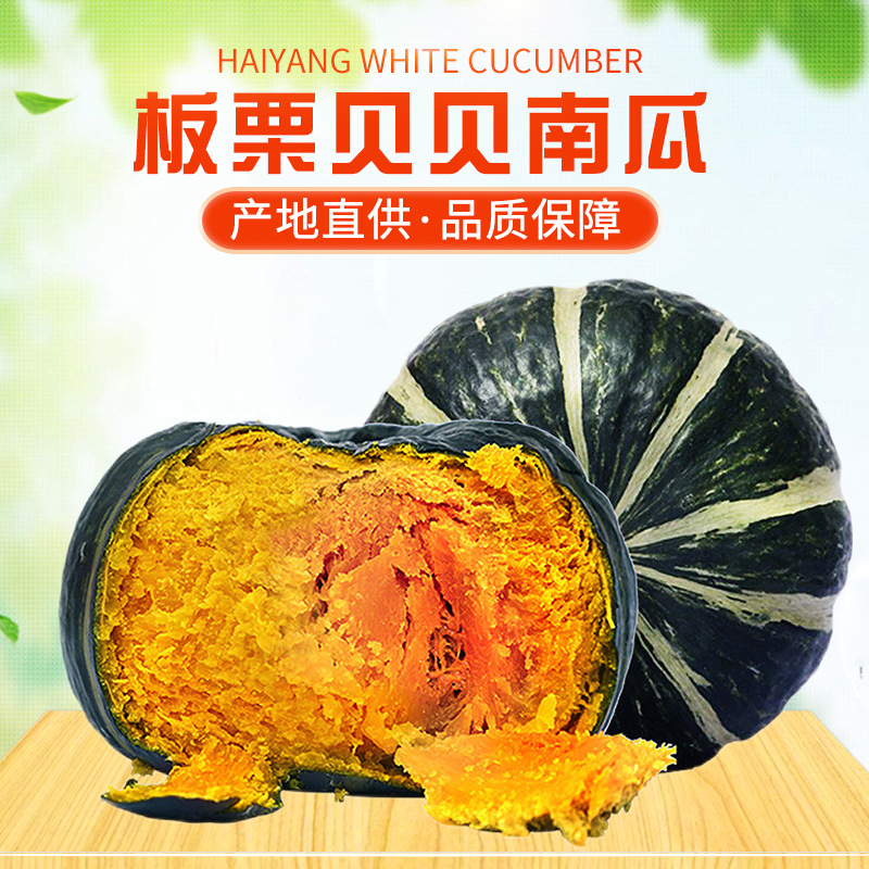 正宗贝贝南瓜新鲜包邮板栗味小南瓜老瓜婴儿孕妇粉糯香甜辅食