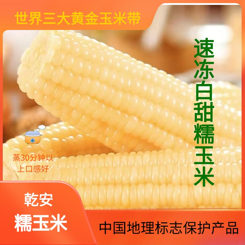 东北黄糯玉米黑糯玉米真空玉米鲜食玉米黑土地粘苞米