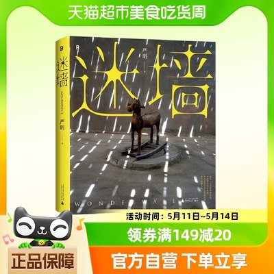 迷墙 严明著 侯登科奖得主严明摄影作品集彩色摄影作品集新华书店