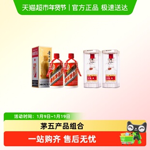 贵州飞天茅台53度500ml*2瓶+五粮液第八代普五52度500ml*2瓶H