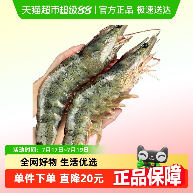 鲜驰大虾鲜活冷冻超大青岛基围虾1500g*2盒20-30只/kg海鲜水产