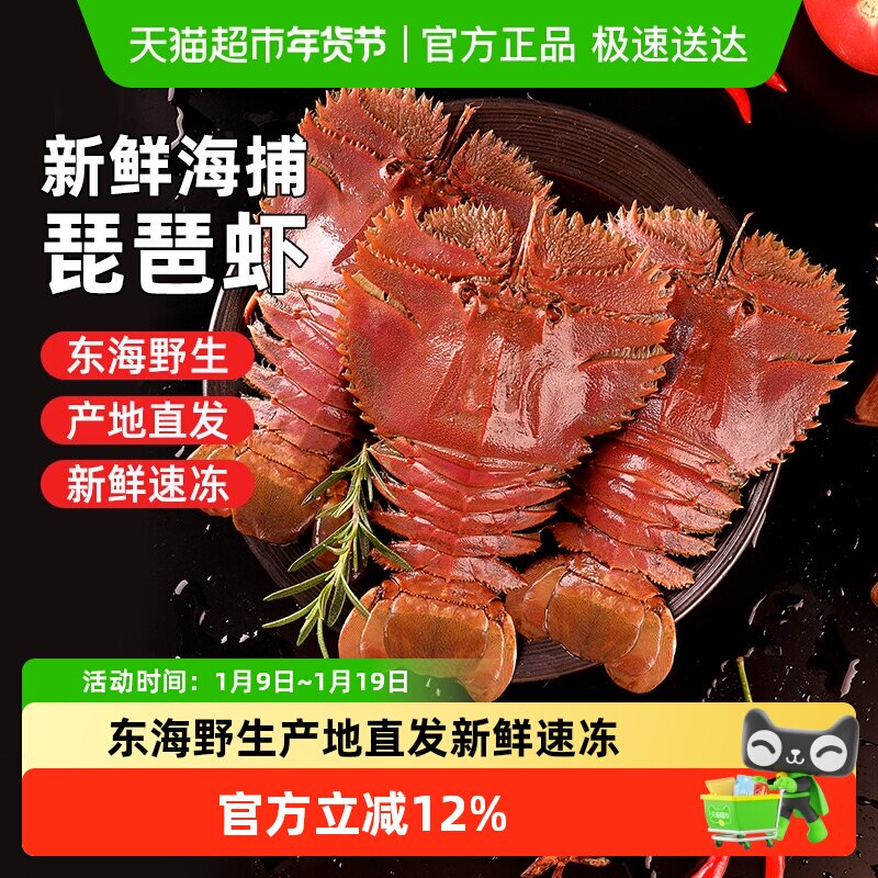 遇上鲜舟山琵琶虾特大新鲜冷冻九齿扇虾海鲜虾姑非鲜活濑尿爬爬虾