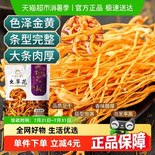 怡江黄金耳虫草花干货50克精选新鲜孢子头北金蛹虫草东北特产煲汤