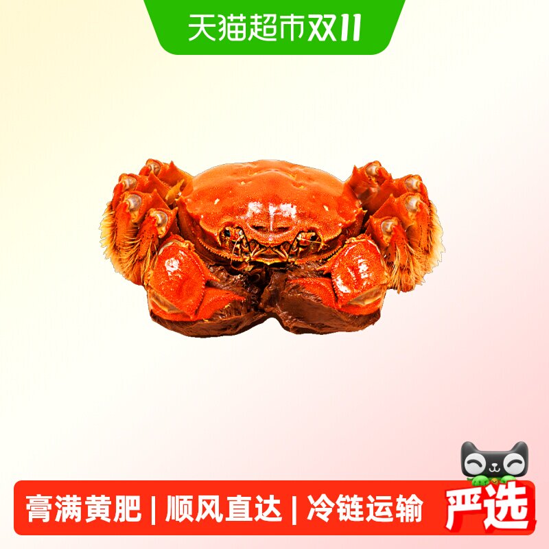 阳澄格调鲜活湖蟹大闸蟹