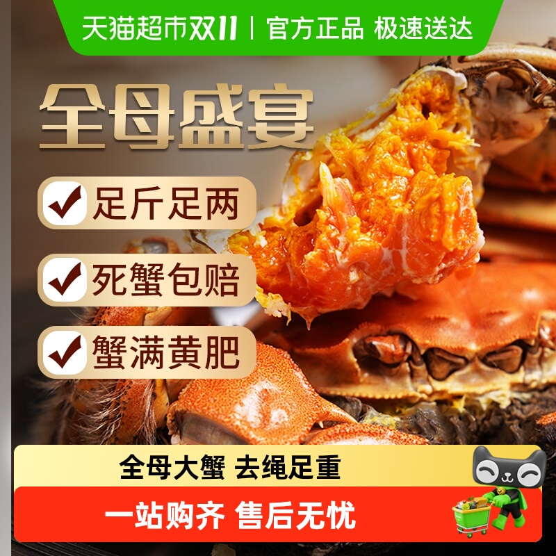 鱻谣大闸蟹全母特大螃蟹