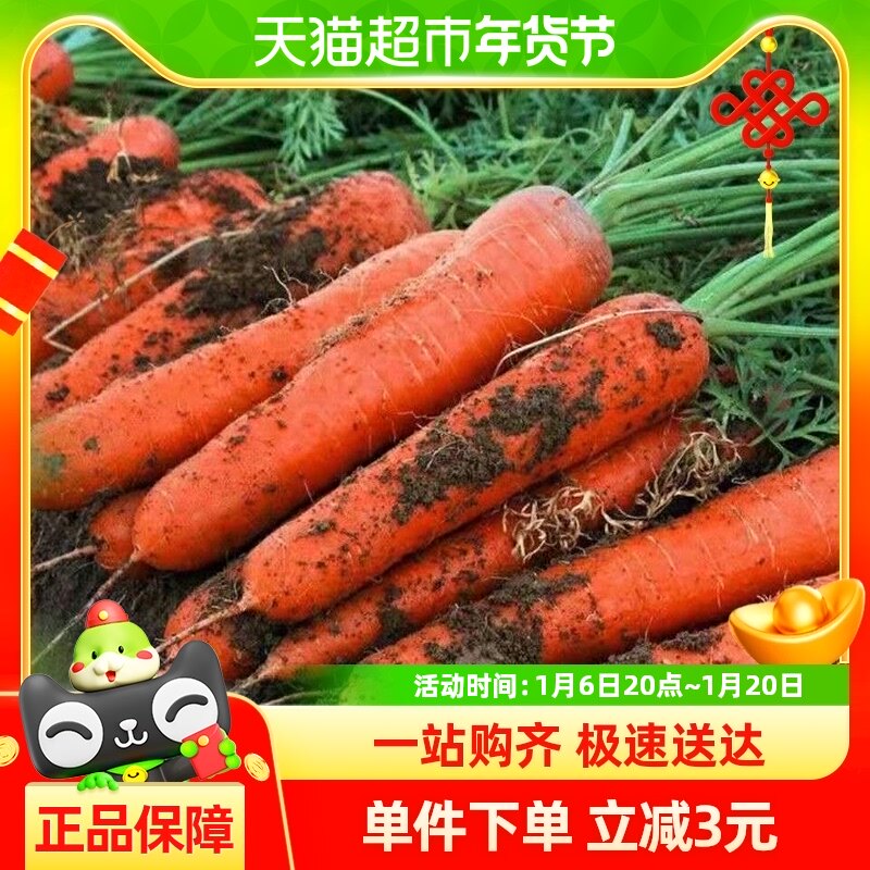 ���ʺ��ܲ�5����ܲ�ɳ�����߲�ˮ�������ַ�ũ�����ִ��༴ʳ