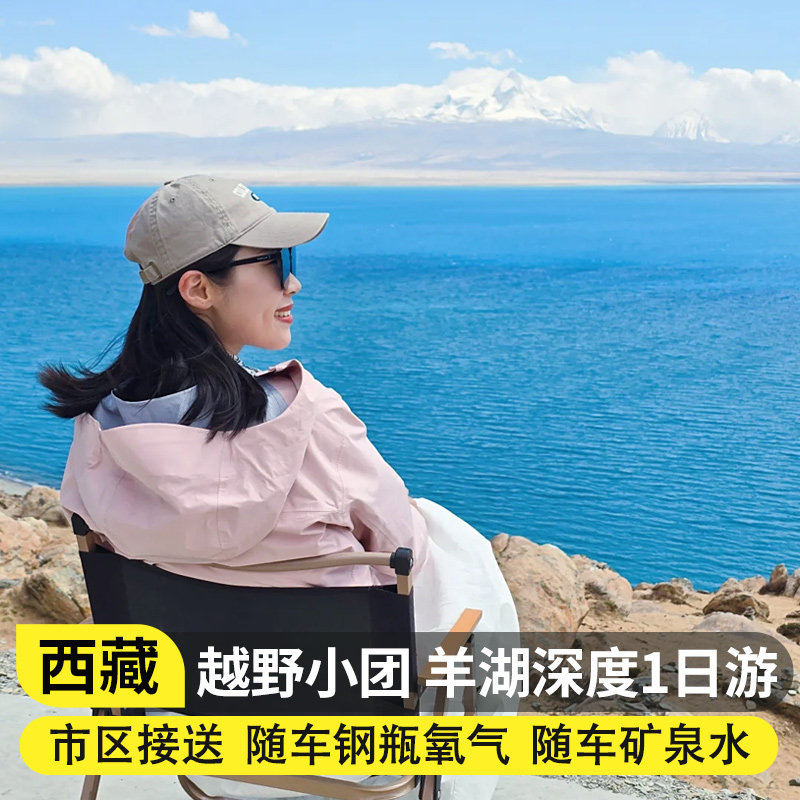 4人小团西藏旅游拉萨羊卓雍措卡若拉冰川/日托寺一日游拼车跟团游