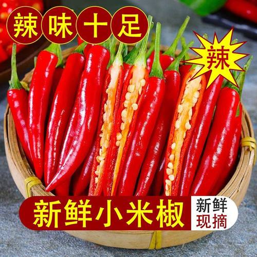 小米辣椒新鲜5斤特辣小米椒朝天椒超辣薄皮土红辣椒指天椒尖椒