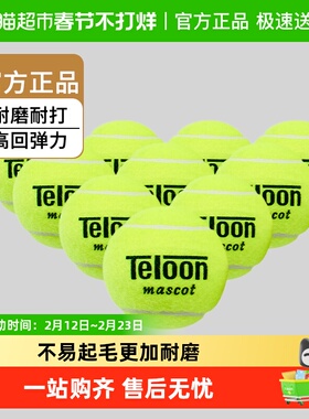 Teloon天龙网球用球603Rising801Ace初学训练球高回弹力袋装耐磨