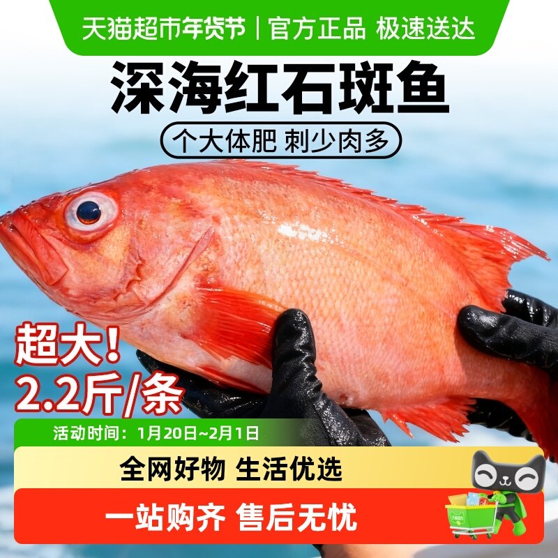 云储生活红石斑鱼冷冻红鱼冰岛深海石班鱼富贵鱼海鲜水产超大整条,水产肉类/新鲜蔬果/熟食,淡水鱼类,淘宝优惠券,粉丝福利购,淘宝优惠卷