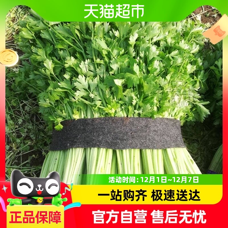 �ٺ��ļ�С��������10g�߲�����������С���۴�ȫˮ���۲����