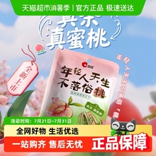 【包邮】洽洽蜜桃绿茶/茉莉碧螺春/焦糖/山核桃/藤椒瓜子春季恰恰