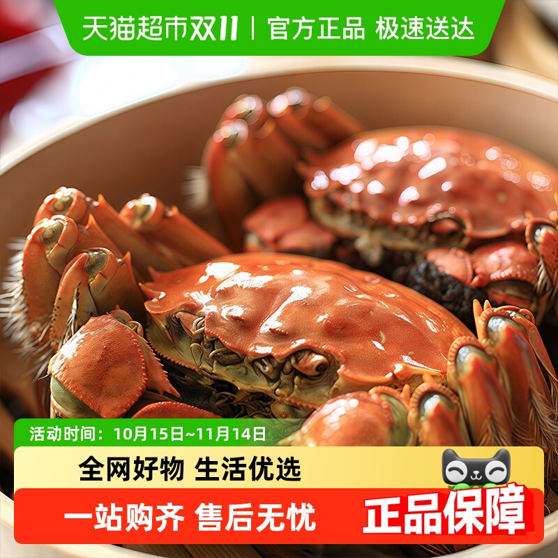 精品螃蟹鲜活全母大闸蟹礼盒