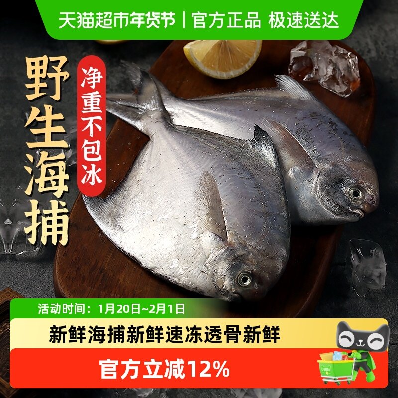 遇上鲜银鲳鱼新鲜冷冻舟山海鲜昌扁鱼鲜活速冻水产平鱼大白鲳鱼,水产肉类/新鲜蔬果/熟食,鲳鱼,淘宝优惠券,粉丝福利购,淘宝优惠卷