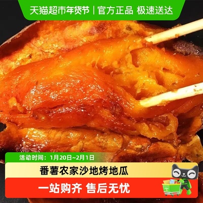 山芋山东烟薯25蜜薯红薯