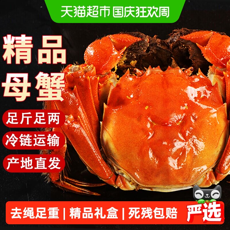 大闸蟹鲜活特大全母螃蟹图片
