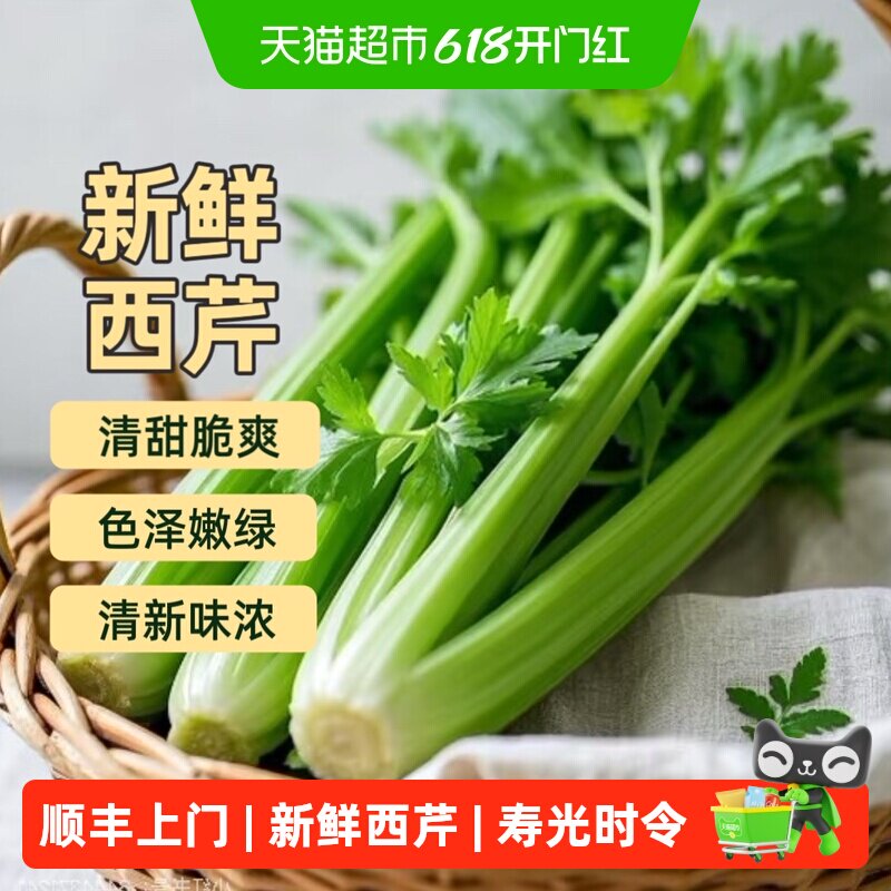顺丰上门新鲜西芹芹菜大颗榨汁专用果蔬山东寿光时令绿色蔬菜现摘