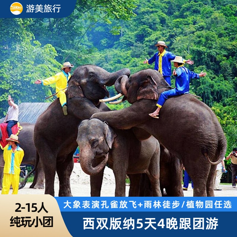 云南西双版纳5日游小团