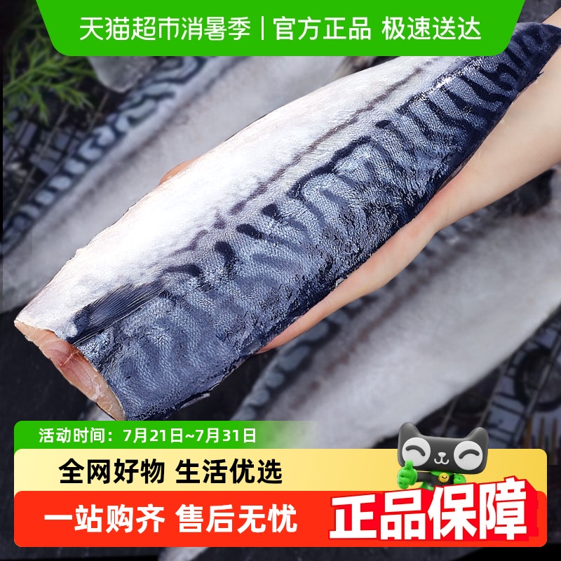 鲜驰6-8片冷冻海产品500g×2袋