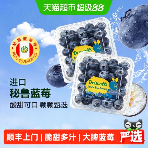 猫超臻选秘鲁大果酸甜蓝莓鲜果