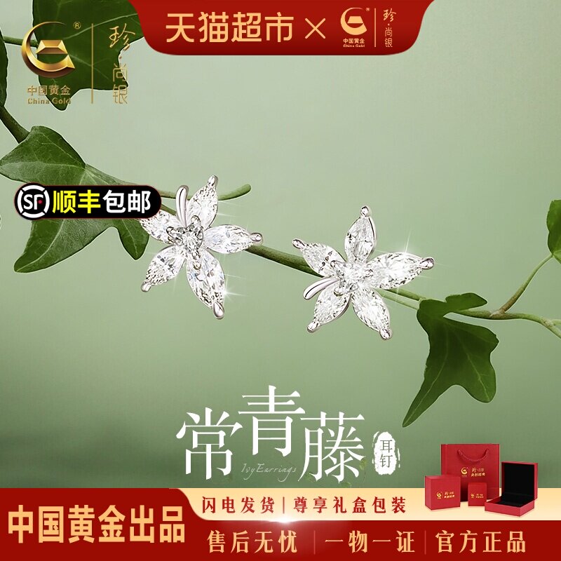 珍尚银常青藤耳钉流光闪耀送女友图片