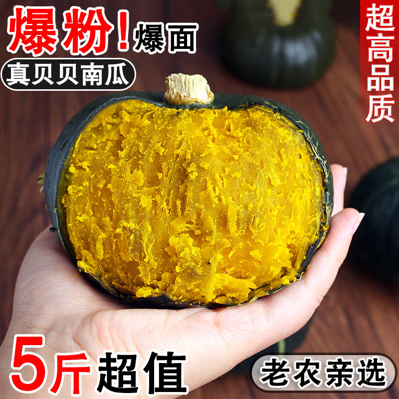 正宗山东贝贝南瓜板栗味小南瓜宝宝辅食粉糯营养丰富优质老南瓜