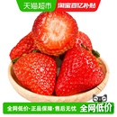甜莓之都丹东草莓新鲜水果应季 红颜99草莓九九牛奶奶油甜蜜草莓