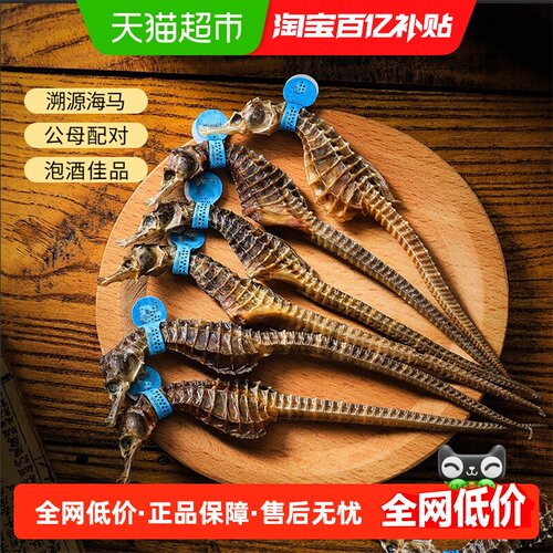 半山农海马泡酒煲汤