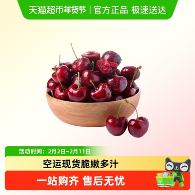 领鲜密码智利车厘子海运现货