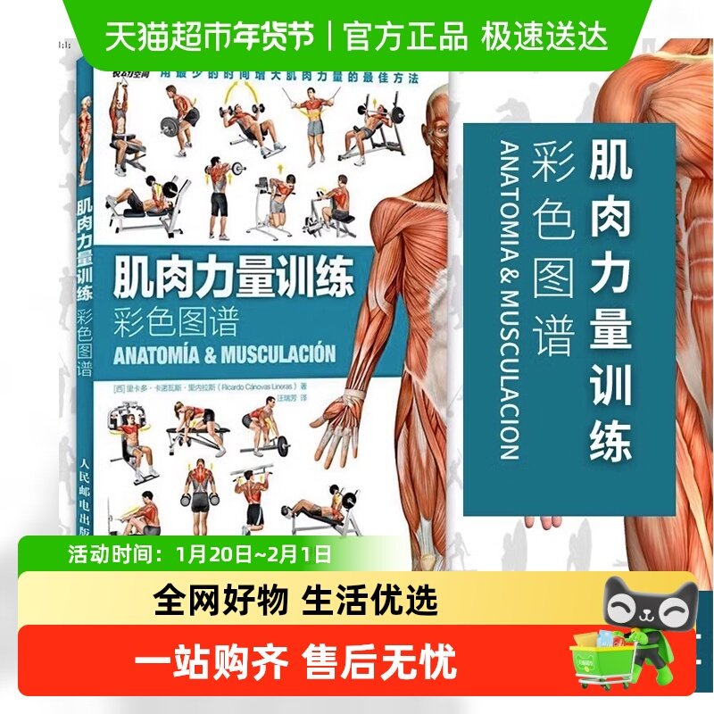 肌肉力量训练彩色图谱 拉伸训练书减脂增肌运动健身书籍肌肉训练,书籍/杂志/报纸,体育运动(新),淘宝优惠券,粉丝福利购,淘宝优惠卷