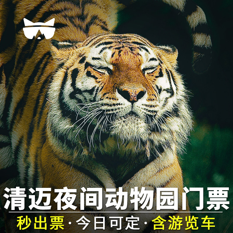 [清迈夜间野生动物园-清迈夜间动物园门票]懒猫旅行