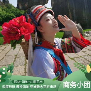 商务小团上门接 斗南花市一日游 赠过桥米线 滇池 昆明石林风景区