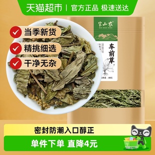 半山农车前草500g非野生新鲜中药材干货旗舰袋泡茶降尿店酸
