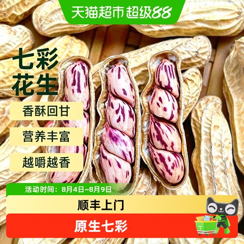 新欢云南七彩花生农家自种
