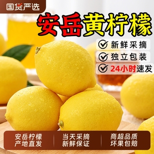 四川安岳黄柠檬新鲜优质包装皮薄多汁9斤无蜡酸爽水果整箱包邮