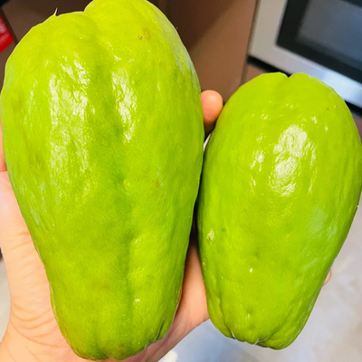 云南新鲜佛手瓜洋瓜丰收瓜寿瓜蔬菜年货蔬菜新瓜上市