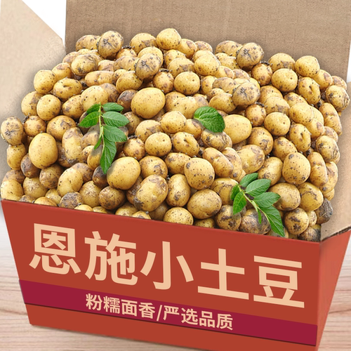 湖北恩施小土豆黄皮老品种农家黄心土豆高山小土豆马铃薯洋芋新鲜