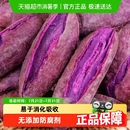 顺丰发货紫薯山芋新鲜糖心紫番薯地瓜香薯板栗红薯蔬菜农家