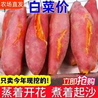 沙地蜜薯新鮮紅薯3/5/9斤農(nóng)家香甜薯板栗黃心烤地瓜糖心番薯山芋