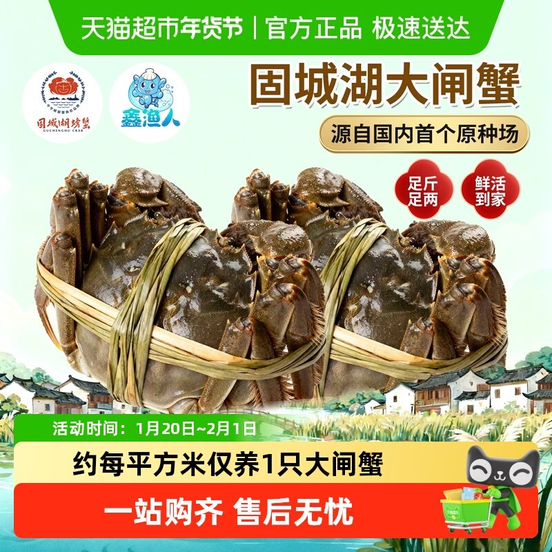 鑫渔人江苏南京固城湖大闸蟹精品蟹鲜活螃蟹特大全母公蟹送礼盒装,水产肉类/新鲜蔬果/熟食,大闸蟹,淘宝优惠券,粉丝福利购,淘宝优惠卷