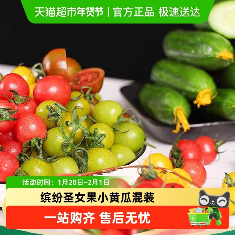 缤纷圣女果小黄瓜混装水果新鲜当季现摘蔬菜即食整箱,水产肉类/新鲜蔬果/熟食,番茄,淘宝优惠券,粉丝福利购,淘宝优惠卷