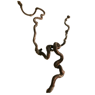 龙枣枝花材枝条干枝花道插花花艺主枝使枝天然造型工具摆件软装