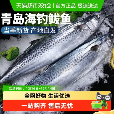 云储生活青岛鲅鱼新鲜整条冷冻