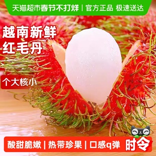 越南红毛丹新鲜毛荔枝进口热带水果毛丹果当季红毛丹整箱